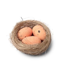 2 nids garnis de 3 œufs 