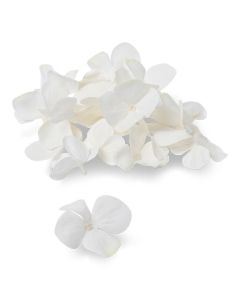 Pétales d'hortensias blanches - 30g