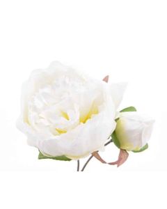 Rose pivoine soie demi-ouverte - blanche