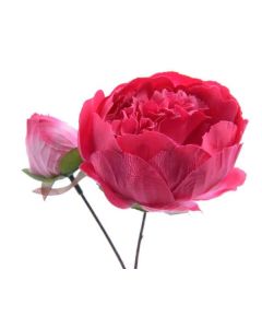  Rose pivoine soie demi-ouverte - fuchsia