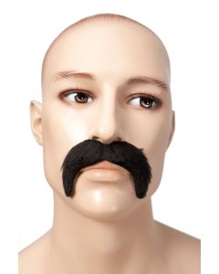 Moustache années 1900 - Noir