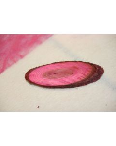 Marque-places naturels - fuchsia