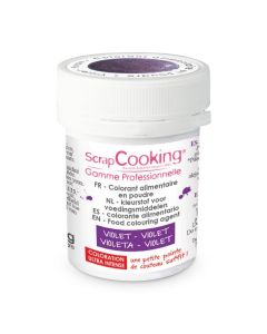 Colorant artificiel en poudre violet 5g
