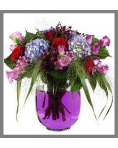 Colorant floral violet