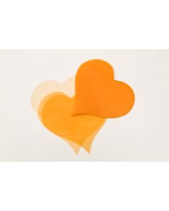 Sachet de 50 coeurs en organza orange