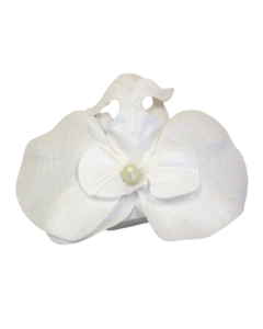 Orchidées flottantes blanches