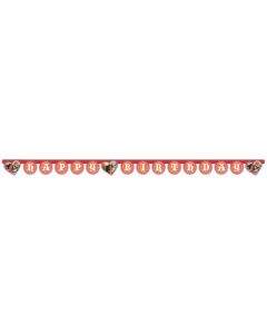 Guirlande Happy Birthday Elena d'Avalor 