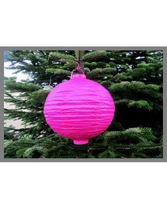 lanterne led fuchsia