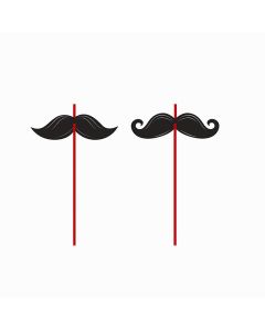6 pailles moustache