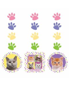 3 suspensions thème chat