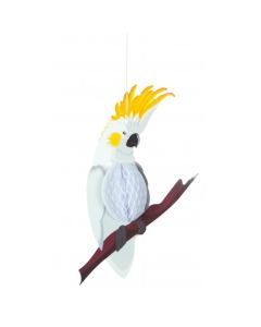 perroquet blanc alvéolé