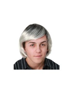 Perruque courte homme - argent
