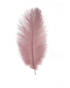 plumes autruche rose