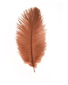 plumes autruche rouge