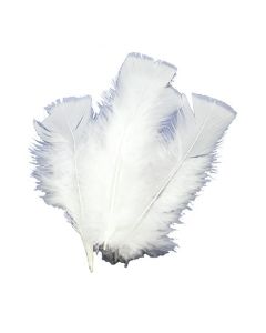 18 plumes blanches - 14 cm à prix discount