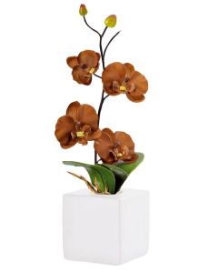 pot orchidée chocolat