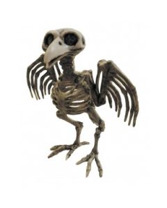 Squelette de corbeau