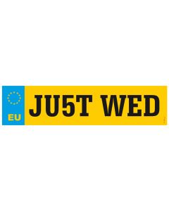 Plaque minéralogique en carton "Just wed"