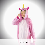 deguisement licorne pas cher