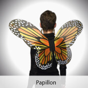 déguisement papillon pas cher