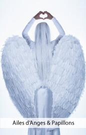 accessoires deguisements ailes anges papillons