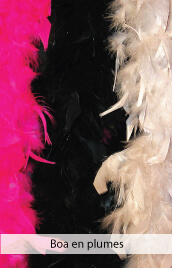 accessoires deguisements boa plumes